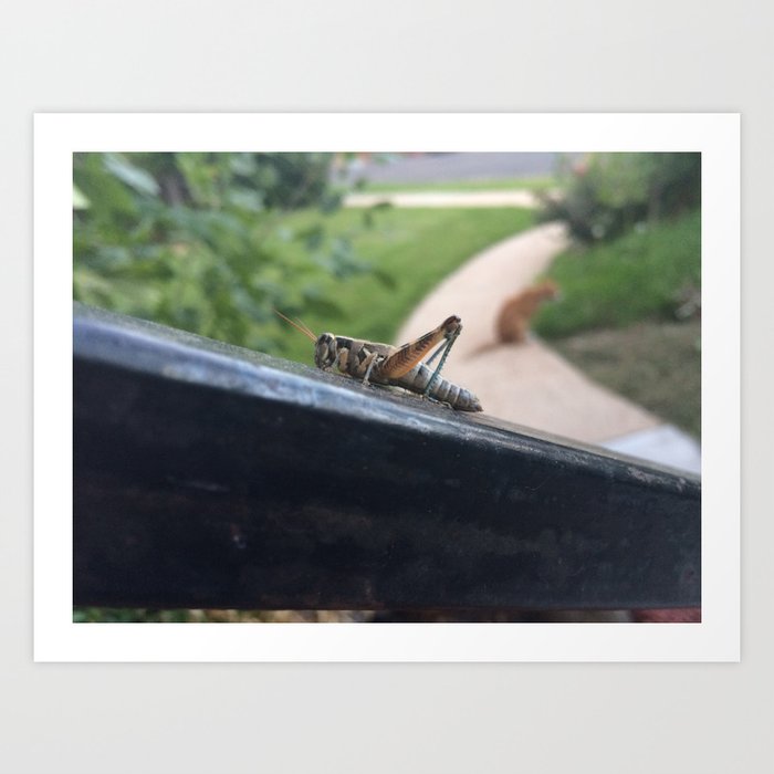Grasshopper on a Rail Art Print