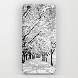 Light Through Snow Covered Trees, B&W iPhone Skin