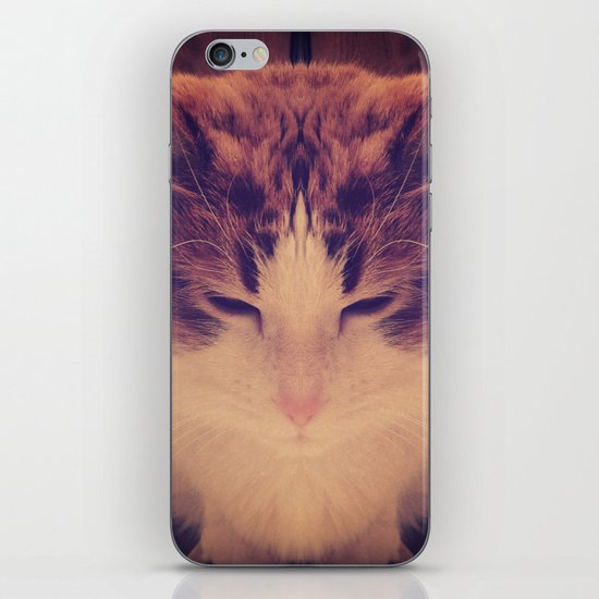 Symmetrical Feline iPhone & iPod Skin