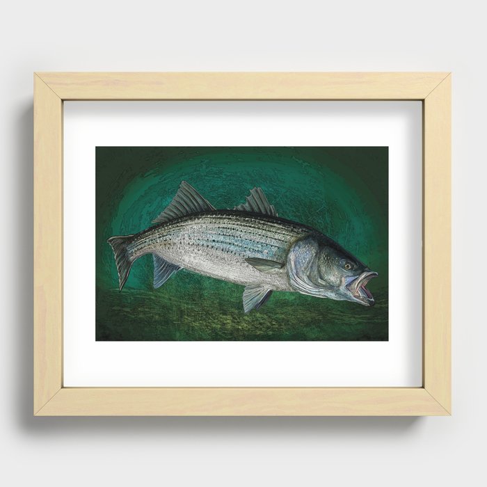 Striped Bass Fishing Art Prints Recessed Framed Print