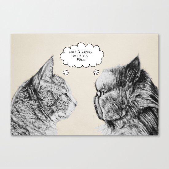 Cat Confusion Canvas Print