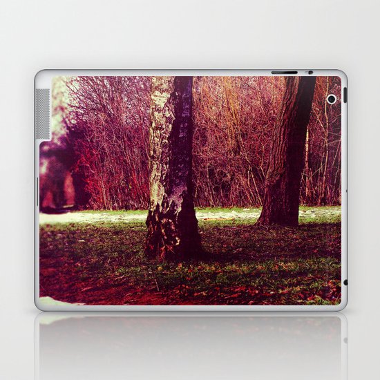 Martian Winter II Laptop & iPad Skin