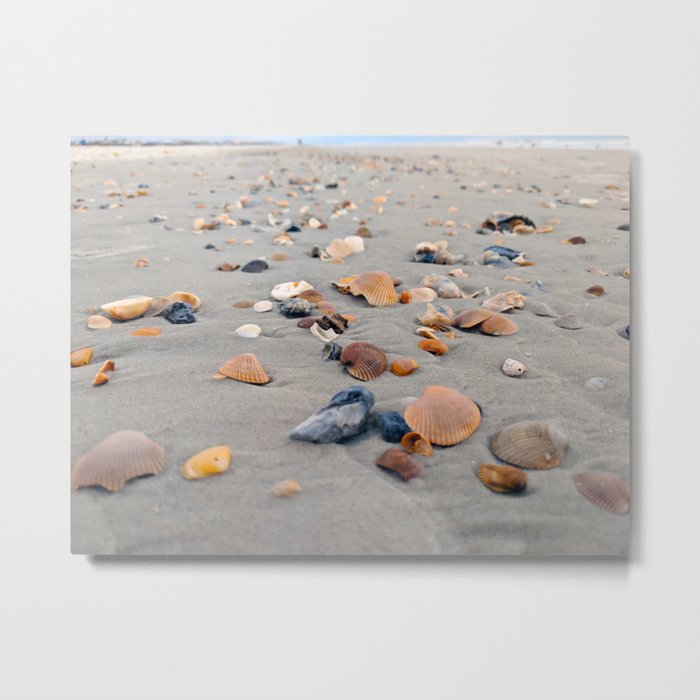 Seashells on the Shore Metal Print