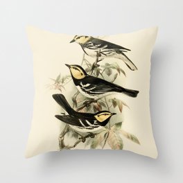 Vintage Birds Golden-cheeked Warbler Illustration  Throw Pillow