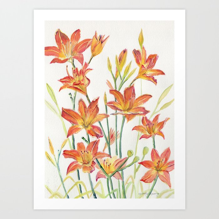 Daylilies Art Print