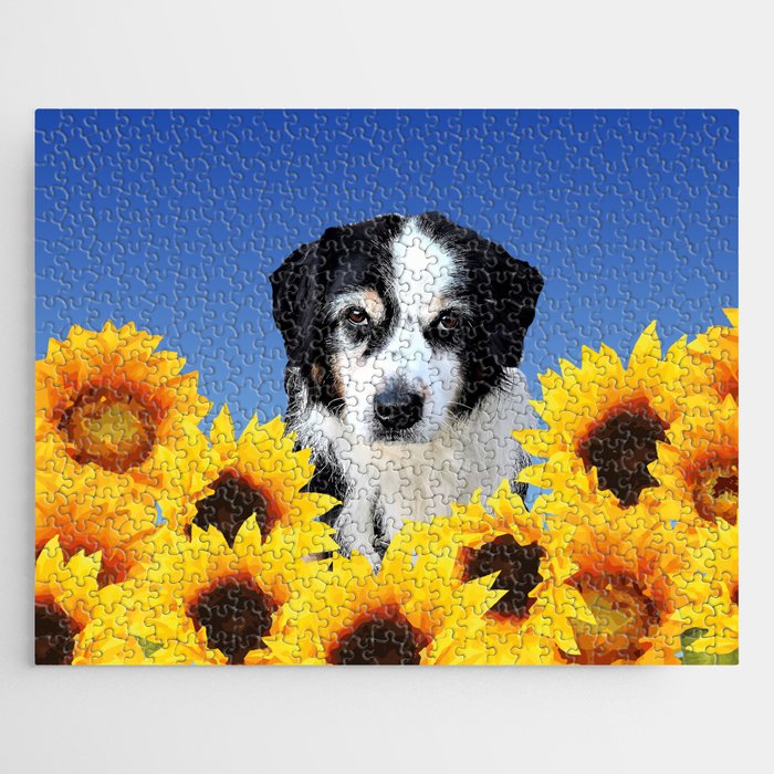 Black and white Border Collie Dog sunflower Blossoms Field Jigsaw Puzzle