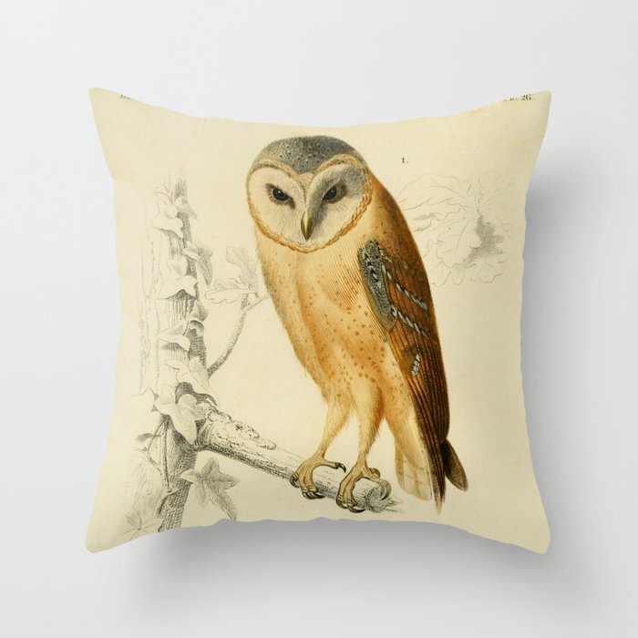 Naturalist Barn Owl Throw Pillow By Bluespecsstudio Society6