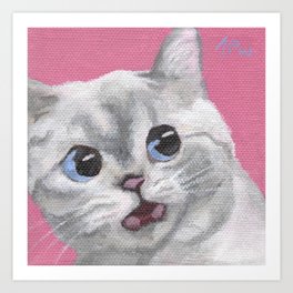 Meme Cat - Surprised Cat Art Print