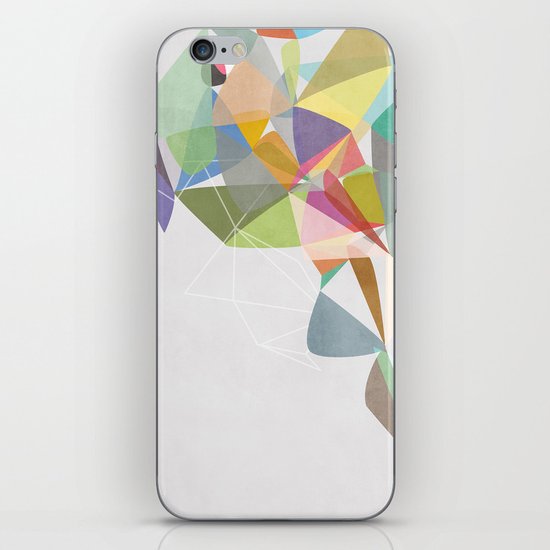 Graphic 201 iPhone & iPod Skin
