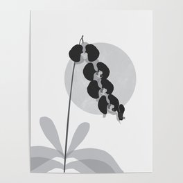 Noir Orchid Dreams Poster