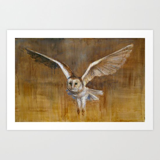 Barn Owl in Flight Art Print