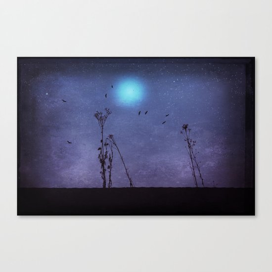 night dance Canvas Print
