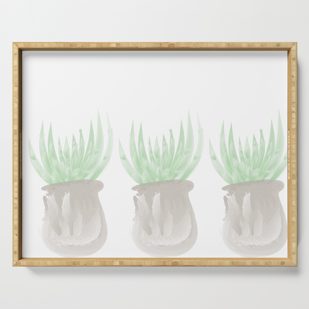 3 Succulents Sitting In A Row Serving Tray by kenedidesignco
