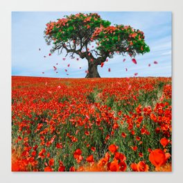 Flying flower petals over a poppy field. Canvas Print