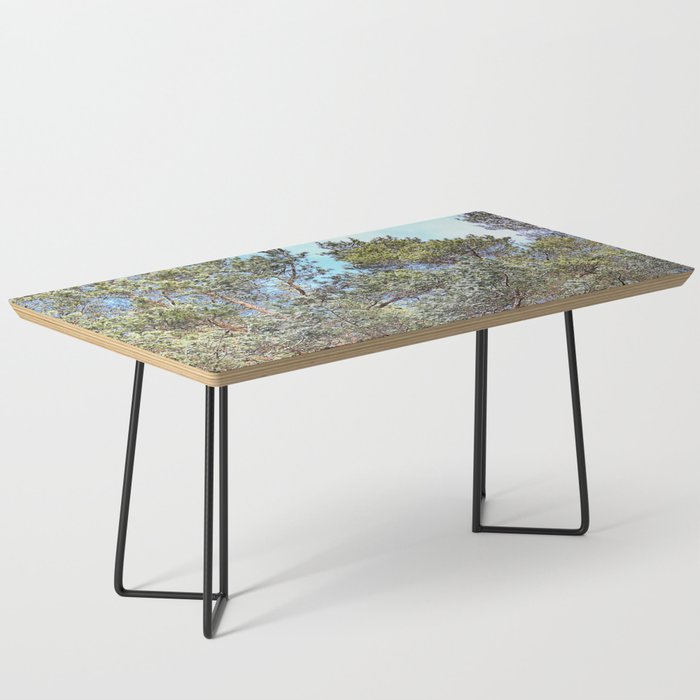 Spring Pine Tree Canopy in I Art and Afterglow Coffee Table