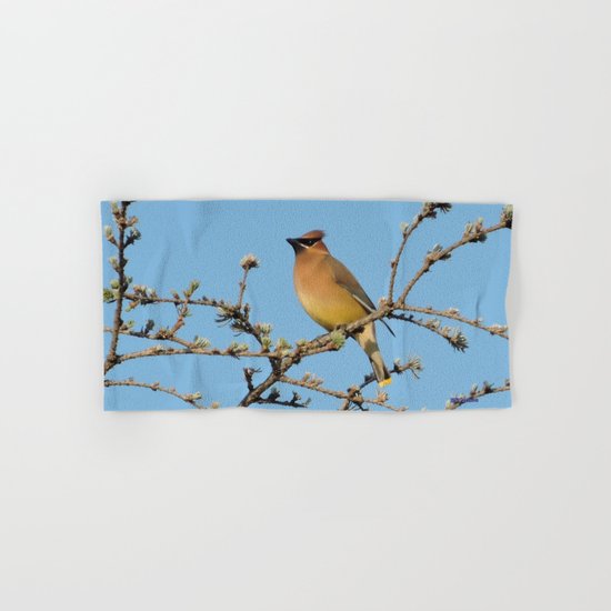 Cedar Waxwing Faces Sunset Hand & Bath Towel
