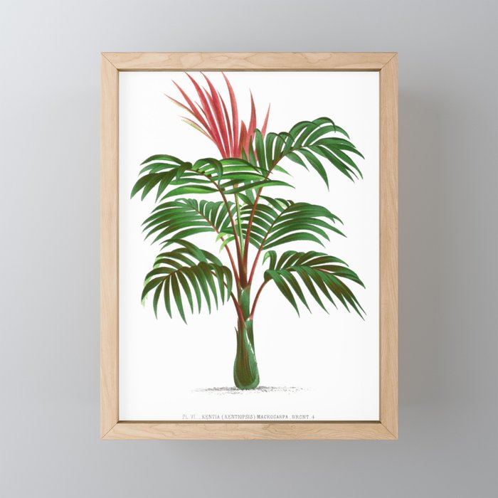Palm tree Framed Mini Art Print