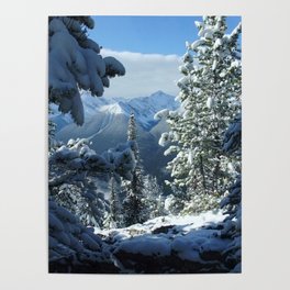 Canada Photography - Snowy Forest On The Mountain Poster