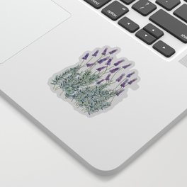Lavender, Illustration Sticker