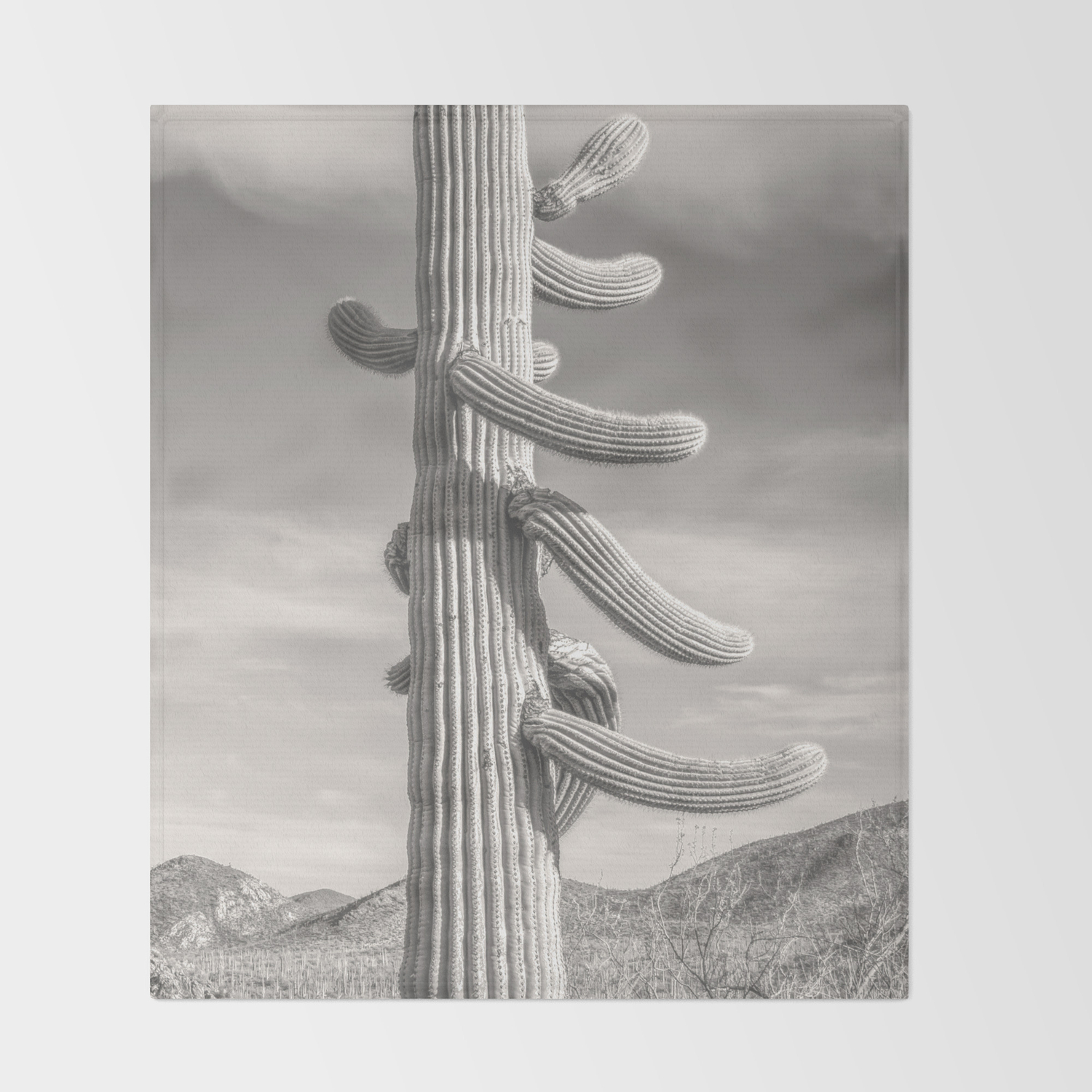 Desert Sentinel Black And White Cactus Decor By Murray Bolesta