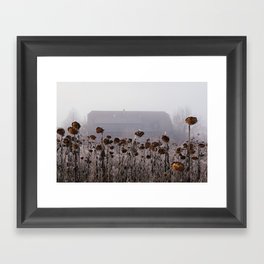 Winter Sunflowers Framed Art Print