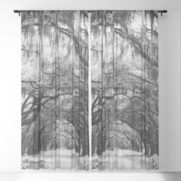 Spanish Moss on Southern Live Oak Trees black and white photograph / black and white art photography Sheer Curtain