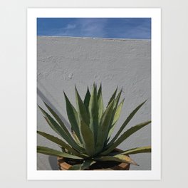 Mexican Minimal Cactus Art Print