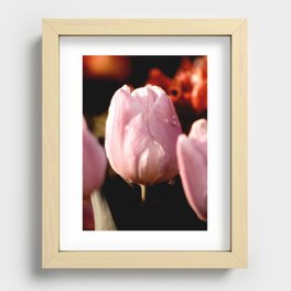 Pink Tulip II Recessed Framed Print