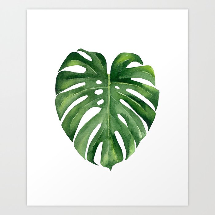Tropical Green Leaf Art Print By Asolo Society6