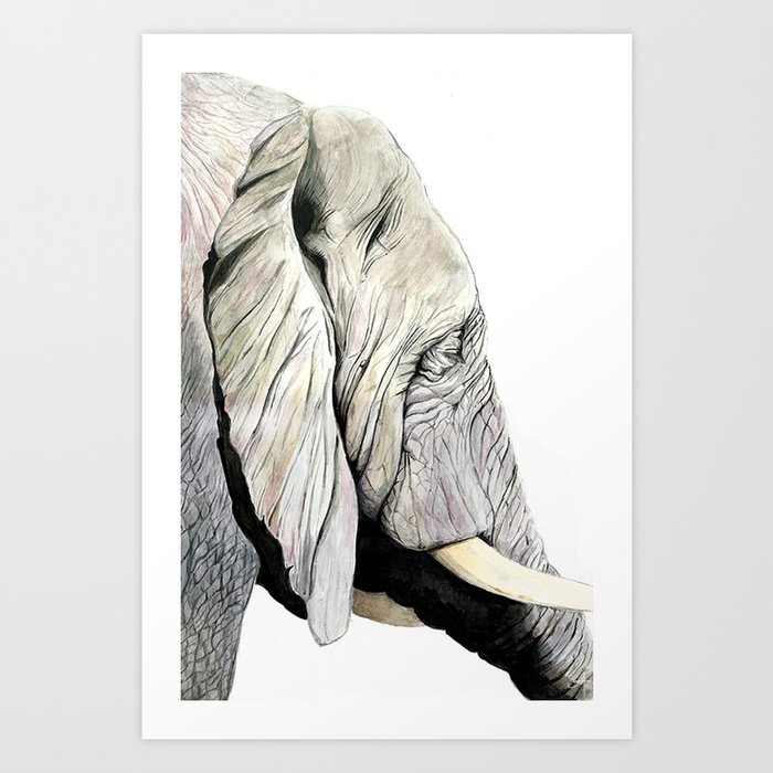 Elephant Gaze Art Print