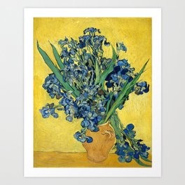 Irises by Vincent van Gogh, 1890 Art Print