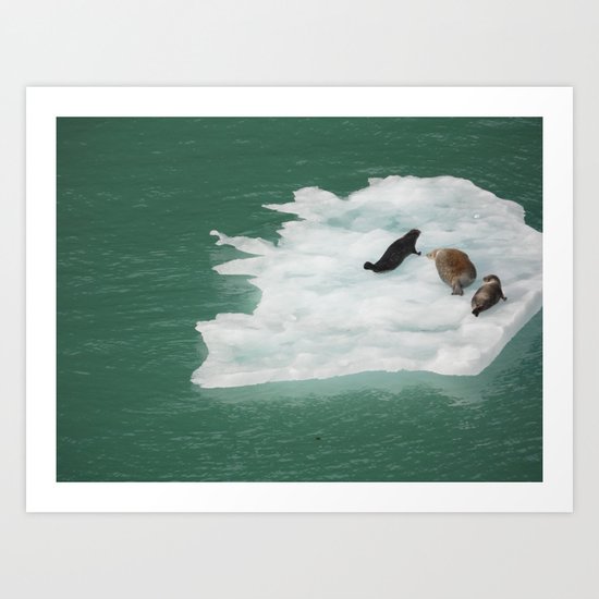 Seals on an Iceberg Art Print