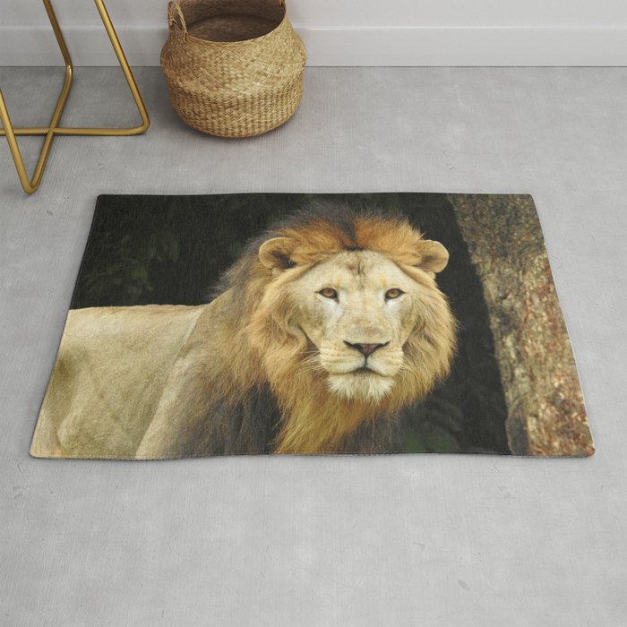 Lion the King of Beasts Rug