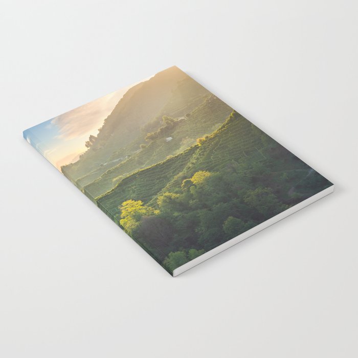 Prosecco Hills hogback, vineyards at sunset. Notebook