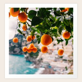 Amalfi Coast Oranges Art Print