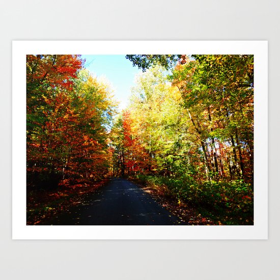 Into the Fall Forest Art Print