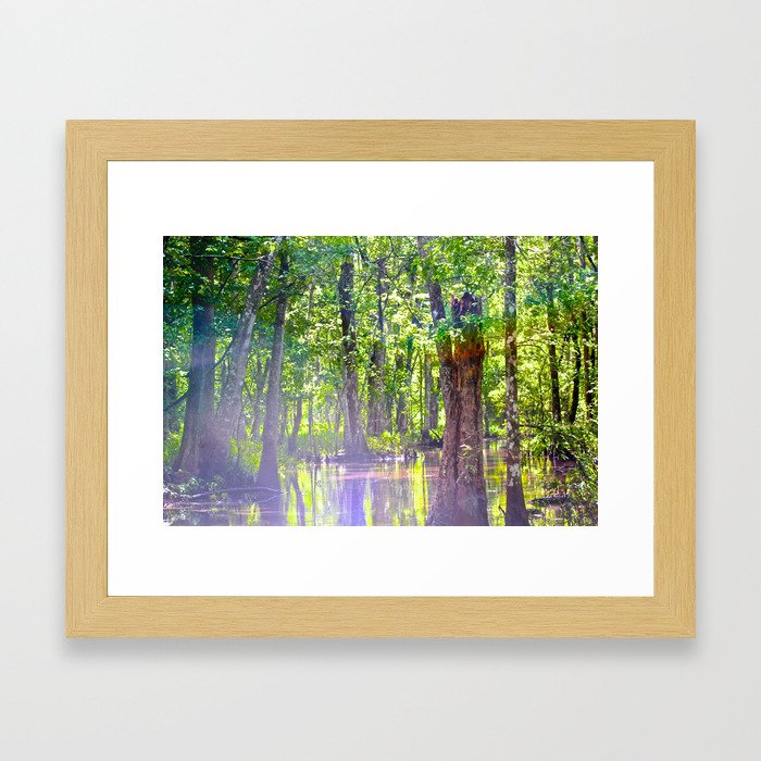 Beauty in the Swamp Framed Art Print