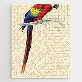Scarlet Macaw Jigsaw Puzzle