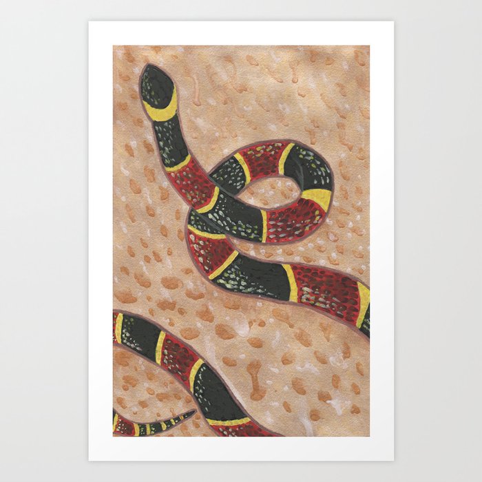 https://ctl.s6img.com/society6/img/1z7aWHirA32YlCiMj8C3cit-EY8/w_700/prints/~artwork/s6-original-art-uploads/society6/uploads/misc/52ee764bcf1447dab7724e69a008b53c/~~/the-coral-snake-prints.jpg