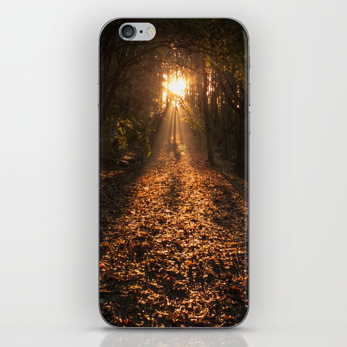 Autumn Fantasy : Let the Light Guide You iPhone Skin