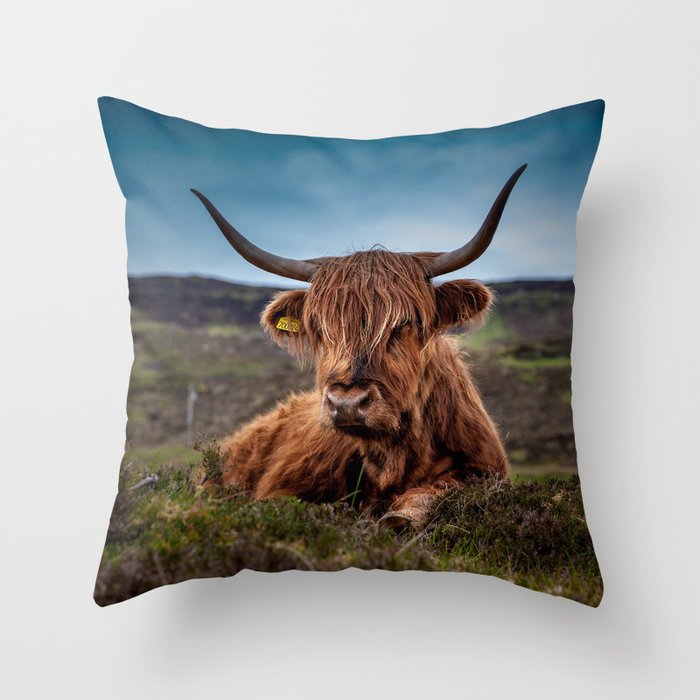 Beef Scotland Highland Throw Pillow