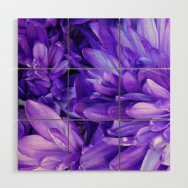 Purple Daisy Petals Wood Wall Art