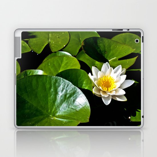 Pond Lilly Laptop & iPad Skin