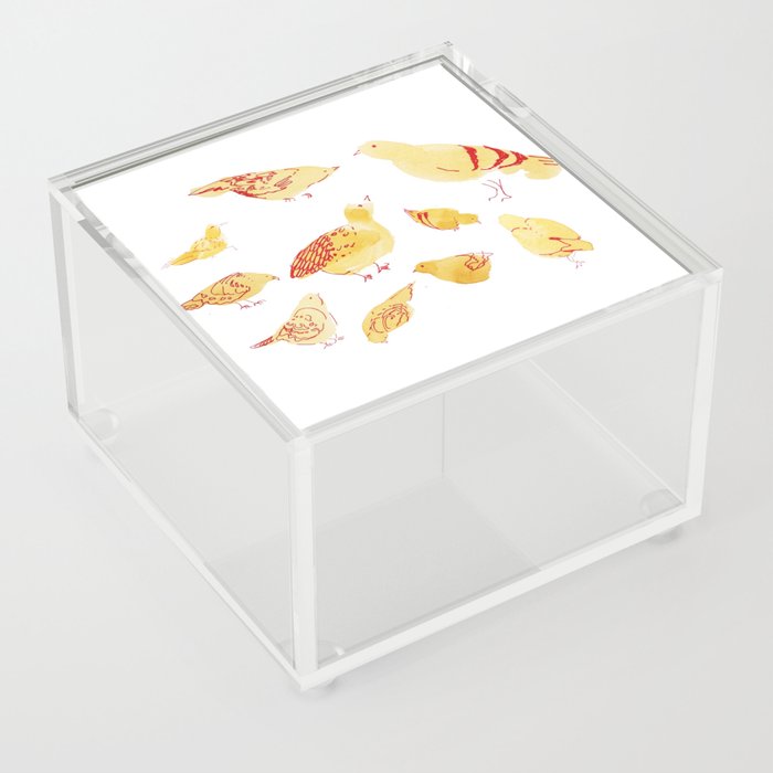 pigeons but in yellow Acrylic Box
