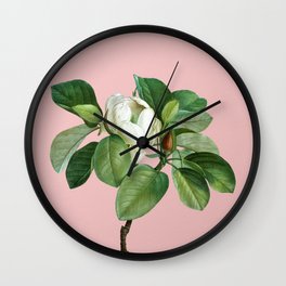 Vintage Magnolia Elegans Botanical Illustration on Pink Wall Clock