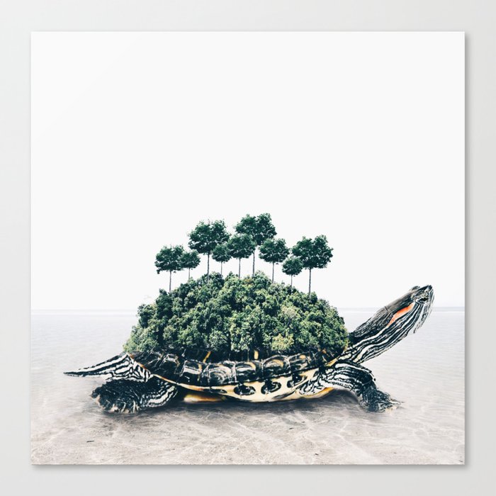 Canvas Print