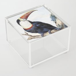 Red-billed Toucan Acrylic Box