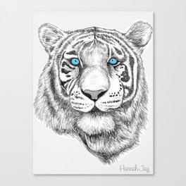 Blue eyed White Tiger poster Canvas Print