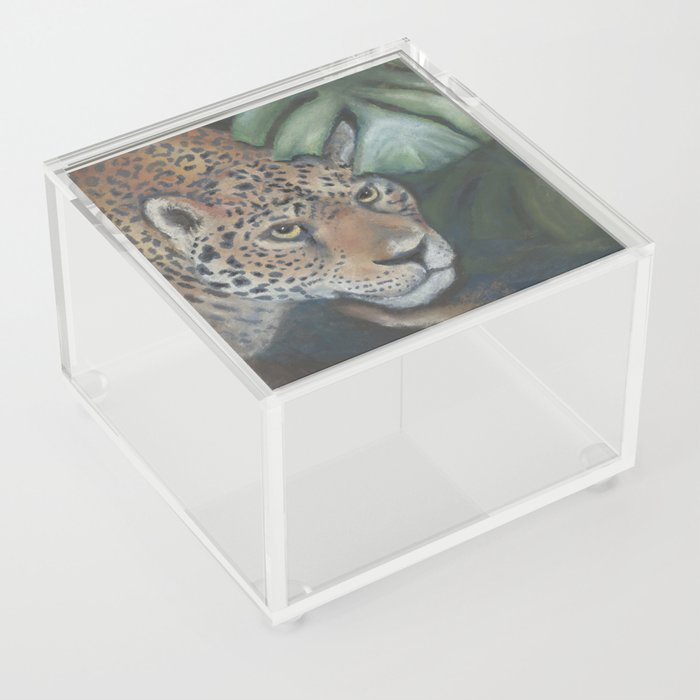 Stalking Acrylic Box