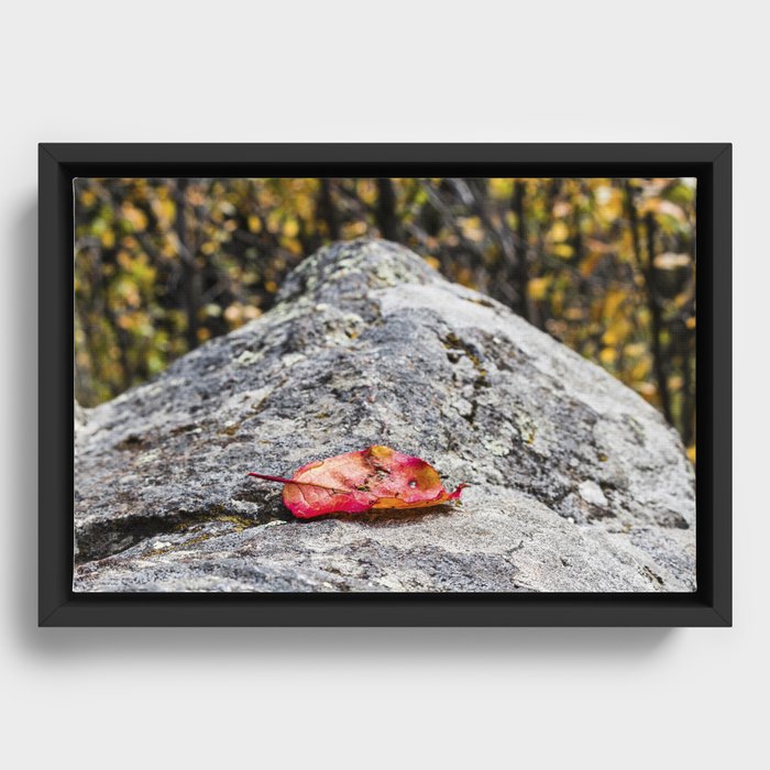 Autumn Leaf Framed Canvas